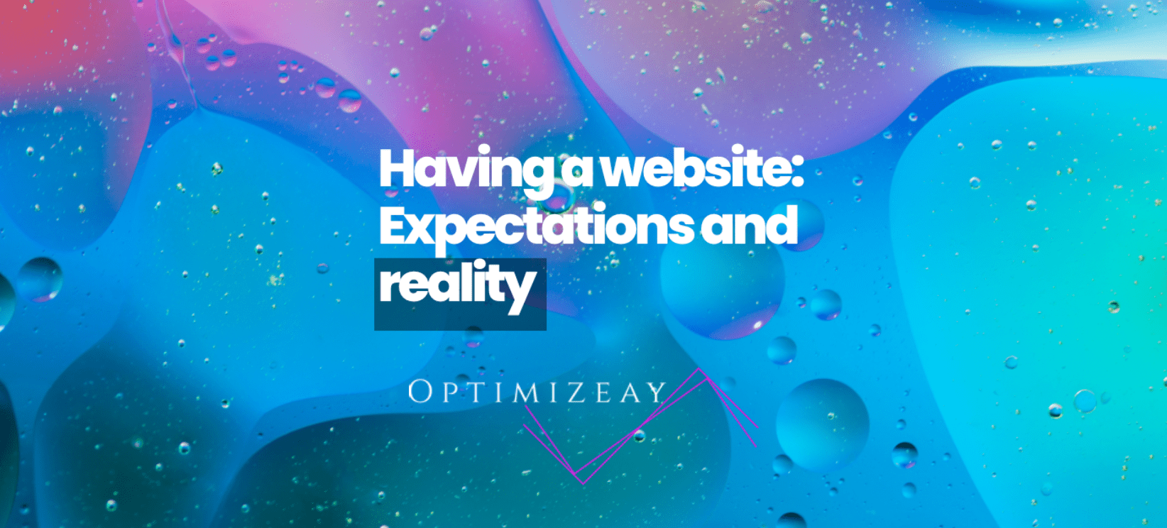 Having a website: Expectations and reality